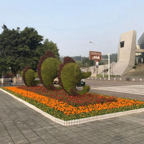 四川成都五色草雕塑廠家大量批發制作 荷花五色草雕塑造型批發廠