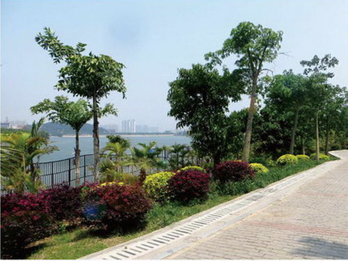 廈門湖邊水庫(kù)片區(qū)景觀工程
