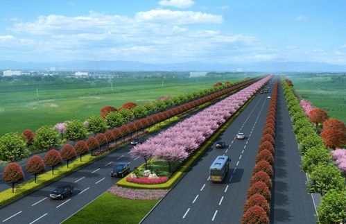 新機(jī)場(chǎng)大道景觀綠化工程正式開(kāi)工，打造城市生態(tài)走廊